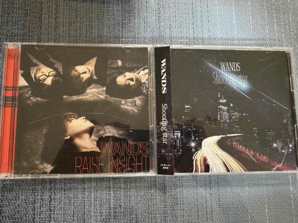 WANDSワンズ オリジナルシングルCD2枚セット RAISE INSIGHT/SHOOTING STAR 柴崎浩/上原大史/木村真也拍卖