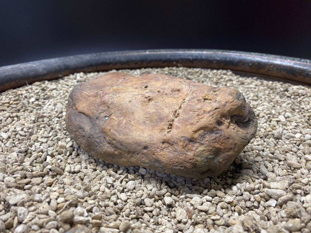 S14 碧玉 石英 ジャスパー 医王山 原石 鑑賞石 水石 自然石 天然石 小矢部川 富山拍卖