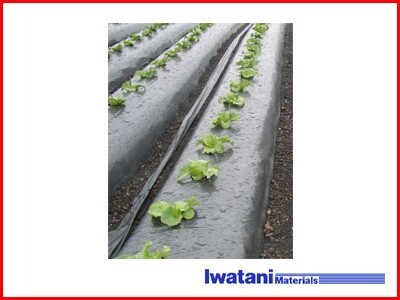 岩谷 イワタニ 菜園用 メタリック黒マルチ 0.02mm×95cm×50m 農業資材 園芸用品 家庭菜園拍卖