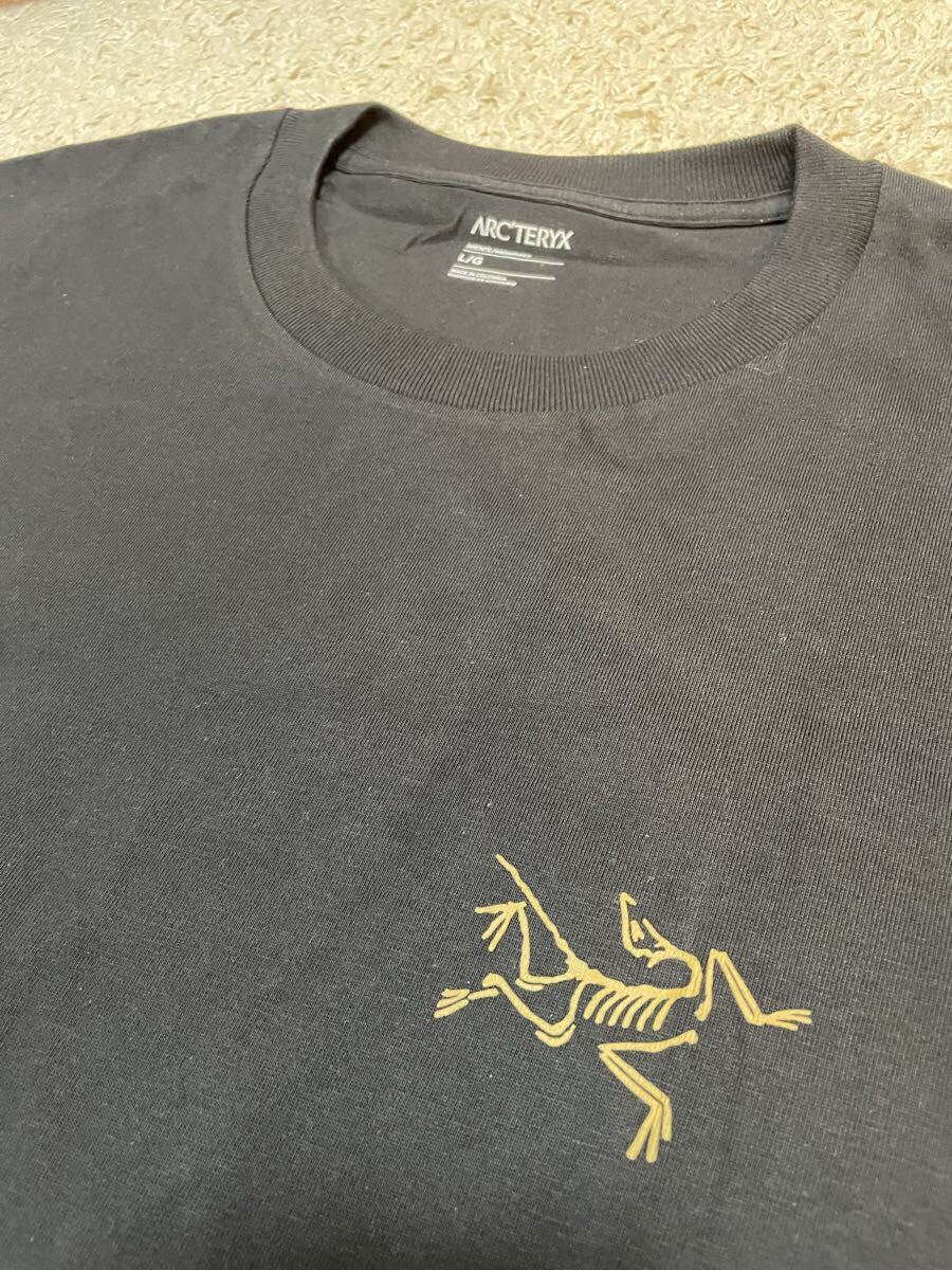 新品未使用 ARC'TERYX Kragg Cotton L/S Black Shirt アークテリクス クラッグ コットン ロンT ブラック 黒 0 1 2 3 4 5 6 7 8 9拍卖