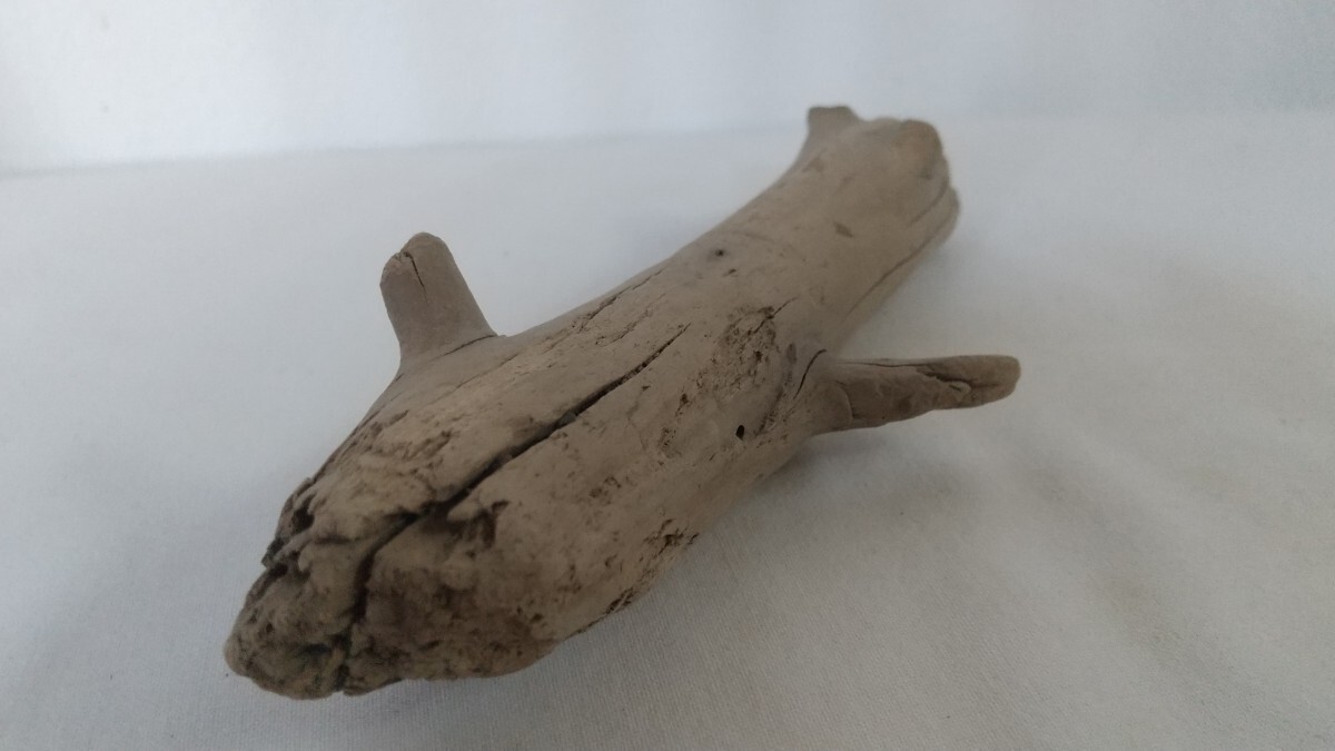 49★流木★爬虫類飼育★インテリア★オブジェ★止まり木★虫飼育★アート素材★創作素材★工作素材拍卖