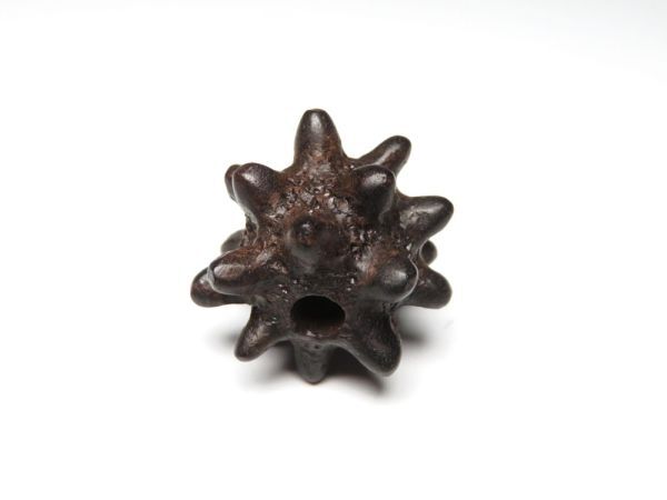 【11536】明治期 堤物 木製 ナマコ 緒締(初品・買取品)拍卖