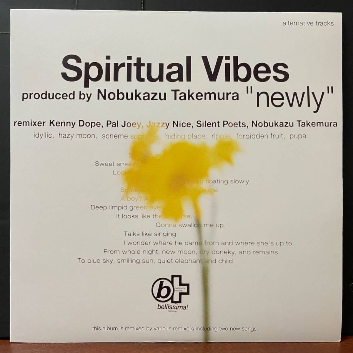 【即決/再生確認済み/美品NM】Spiritual Vibes/Newly/Alternative Tracks/Bellissima Records TFJC-38304/竹村延和/Kenny Dope/Pal Joey拍卖
