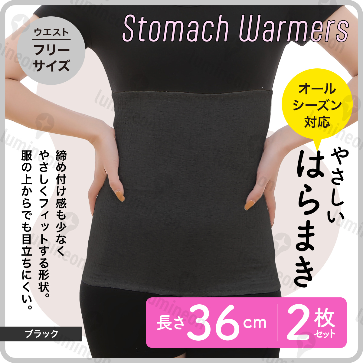 腹巻き 2枚 セット レディース 温活 薄手 目立たたない 暖かい 妊活 冷え 対策 あったか 妊婦 おしゃれ ハラマキ ショーツ 保温 g331e2 1拍卖