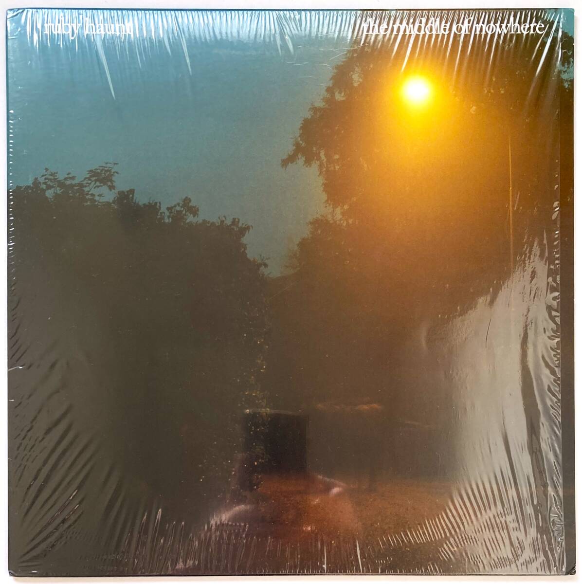 世界限定200枚!!【LP】Ruby Haunt / The Middle Of Nowhere ■2022年■ドリームポップ 〜 スローコア!! / Dream Pop, Indie Rock, Slowcore拍卖