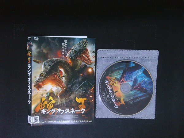 蛇王 キング・オブ・スネーク  DVD 即決 送料200円 917拍卖