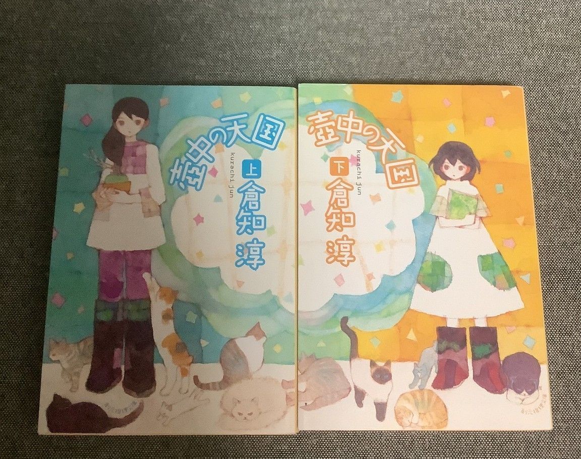 壺中の天国 上下セット 倉知 淳 (著) 創元推理文庫拍卖