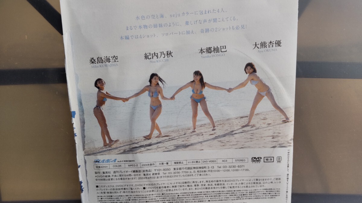 桑島海空 紀内乃秋 本郷柚巴 大熊杏優 未開封dvd 拍卖