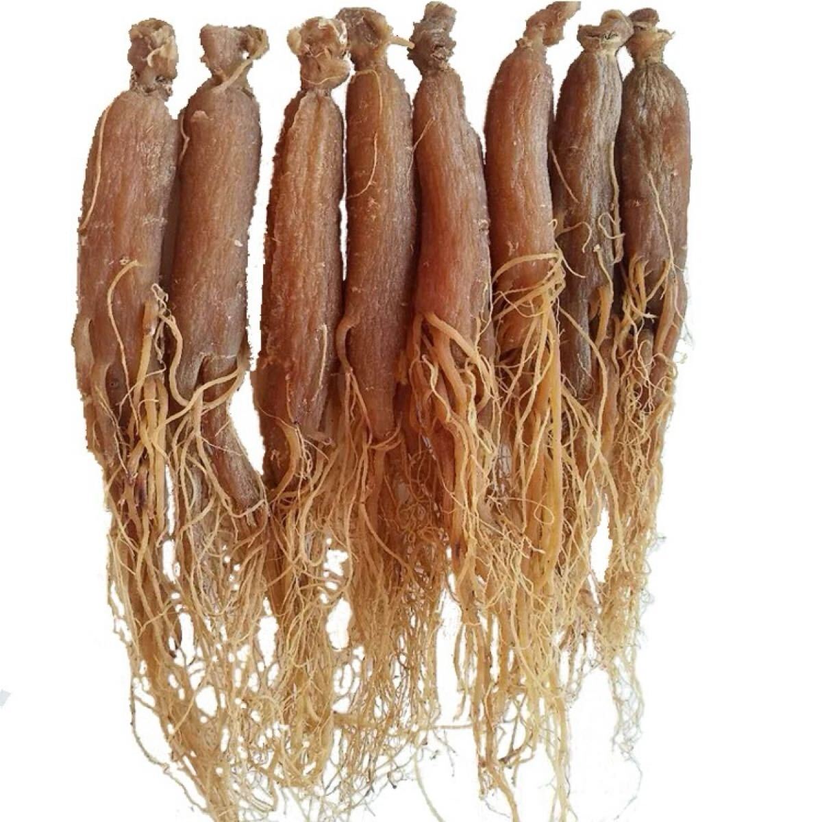 6年根の紅参(姿)無糖 高麗人参・朝鮮人参 紅参 姿のまま拍卖