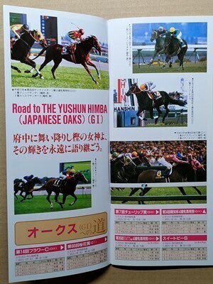 競馬 JRA レープロ20000520東京 目黒記念ステイゴールド /Hローゼンカバリー サクラローレル Nメジロドーベルエアグルーヴダンスパートナー拍卖