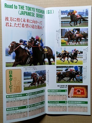競馬 JRA レープロ20000528東京 日本ダービー アグネスフライト エアシャカール /Mヒカルイマイ #アドマイヤベガ Hスペシャルウィーク他拍卖