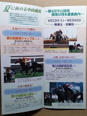 競馬 JRA レープロ20000813中山 クラウンピース /Sエアザイオン エアデジャヴー レインボークイーン サクラキャンドル/Kスプリングバンブー拍卖