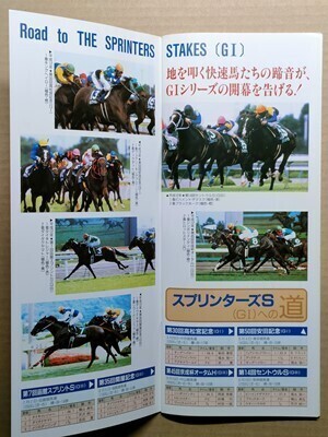 競馬 JRA レープロ20000930中山 アグネスデジタル/ヒルノダムールの母/Hタイキシャトル シンコウウインディ Sキングヘイロー Nヒシアケボノ拍卖