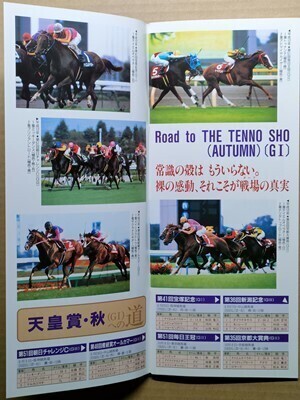 競馬 JRA レープロ20001028東京 サンフォードシチー-父ヤマニンゼファー アグネスデジタル /Hエムアイブラン メジロモネ-弟メジロブライト拍卖