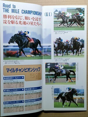 競馬 JRA レープロ20001118東京 Hアドマイヤコジーン キングヘイロー Sダイタクヤマト シンボリインディ他 Uエアジハード・タイキシャトル拍卖