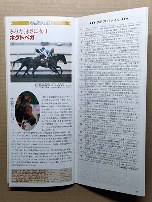 競馬 JRA レープロ20010218東京 フェブラリーS ノボトゥルー /Mホクトベガ Hウイングアロー・メイセイオペラ・シンコウウインディ他拍卖