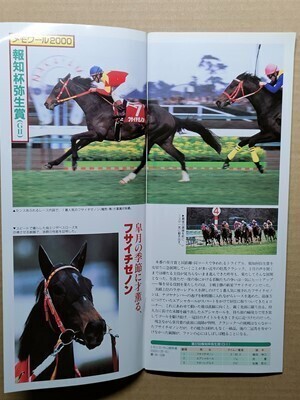競馬 JRA レープロ20010304中山 弥生賞 アグネスタキオン /#フサイチゼノン Hナリタトップロード スペシャルウィーク セイウンスカイ他拍卖
