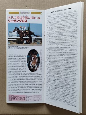 競馬 JRA レープロ20010408中山 ジェミードレス /Mリーゼングロス Sテイエムオーシャン ローズバド Hファレノプシス・キョウエイマーチ他拍卖