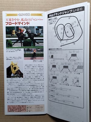 競馬 JRA レープロ20010414中山グランドJ ゴーカイ/サウスヴィグラス/Mブロードマインド Sアグネスタキオン ダンツフレームNエアシャカール拍卖