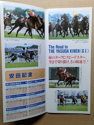 競馬 JRA レープロ20010602東京 ユニコーンS ナスダックパワー /Hアグネスデジタル ゴールドティアラ タイキシャトル シンコウウインディ拍卖