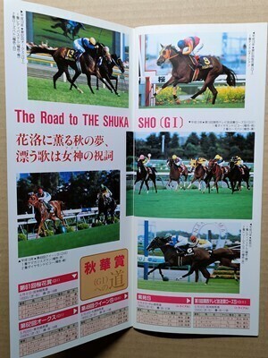 競馬 JRA レープロ20011013東京 新馬シンボリクリスエス /Nトゥザヴィクトリー Sレディパステル・テイエムオーシャン Uメジロドーベル拍卖