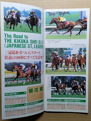 競馬 JRA レープロ20011020東京 富士S クリスザブレイヴ /Uエアシャカール・ナリタトップロード・セイウンスカイ・マチカネフクキタル拍卖