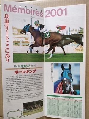 競馬 JRA レープロ20020113東京 京成杯ヤマニンセラフィム /未勝利シャドウスケイプ /#ボーンキング Uステイゴールド・ダービーレグノ拍卖