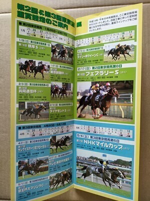競馬 JRA レープロ20020114東京 呉竹賞サクラヴィクトリア /ノボトゥルー・クロフネ・レディパステル・ジャングルポケット・ブラックホーク拍卖