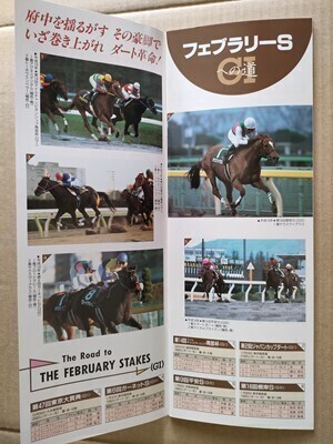 競馬 JRA レープロ20020216東京 クイーンCシャイニンルビー /Sサウスヴィグラス・アグネスデジタル・ブロードアピール Nシンコウウインディ拍卖