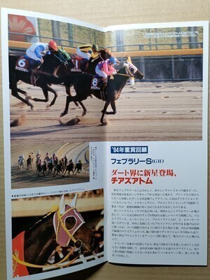 競馬 JRA レープロ950218東京フェブラリーSライブリマウント/#チアズアトム Nナリタタイシン マチカネタンホイザ カリブソング読サンオーイ拍卖