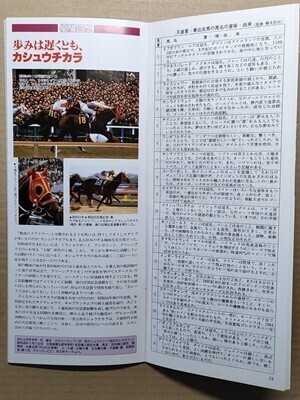 競馬 JRA レープロ950423東京 イブキニュースター /他場ライスシャワー /#ビワハヤヒデ Sワコーチカコ ハギノリアルキング サクラローレル拍卖