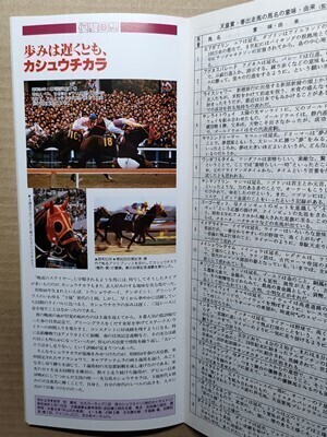 競馬 JRA レープロ950423福島 谷川岳Sタイキブリザード/他場ライスシャワー/ビワハヤヒデ メジロマックイーン スーパークリーク イナリワン拍卖