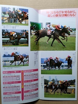 競馬 JRA レープロ950520東京トロットサンダー/ヒシアケボノ/#チョウカイキャロル Hベガ シスタートウショウアグネスフローラ読BNWダービー拍卖