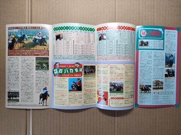 競馬 JRA パンフ 1999 中山大障害 スプリンターズS 有馬記念 [特集グラスワンダー 横山義行が語る障害レース・フランス遠征 過去データ拍卖