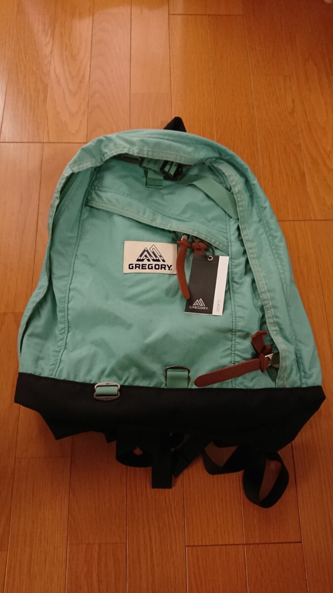 最新色! 新品未使用品タグ付き GREGORY グレゴリー デイパック バックパック DAYPACK オーシャングリーン リュックサック CLASSIC DAY拍卖