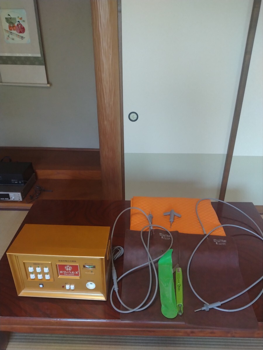パワーヘルス 家庭用電位治療器 PH-5000拍卖