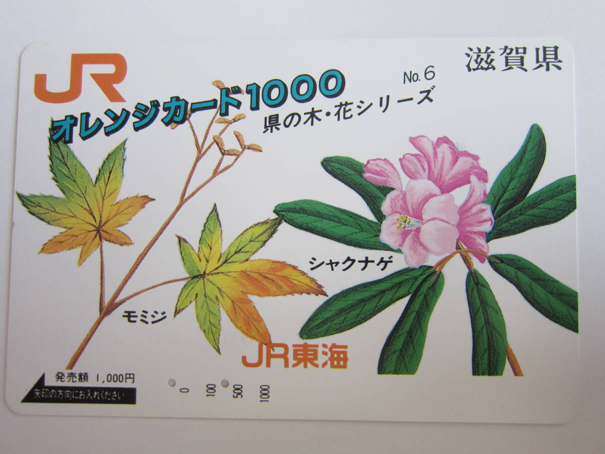 JR東海オレンジカード使用済み 県の木・花シリーズ⑥拍卖