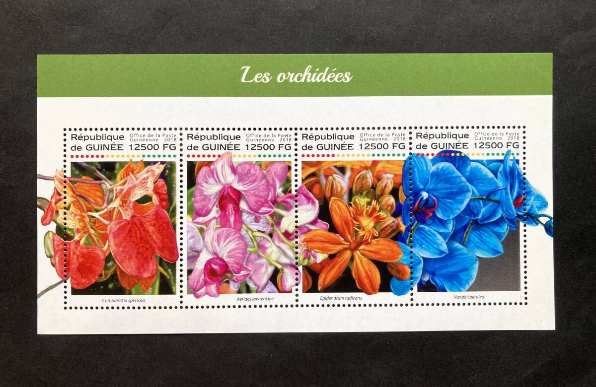 外国切手: ギニア切手 「蘭(ラン)」(コンパレッティア・スペキオサ ほか)4種m/s 未使用拍卖