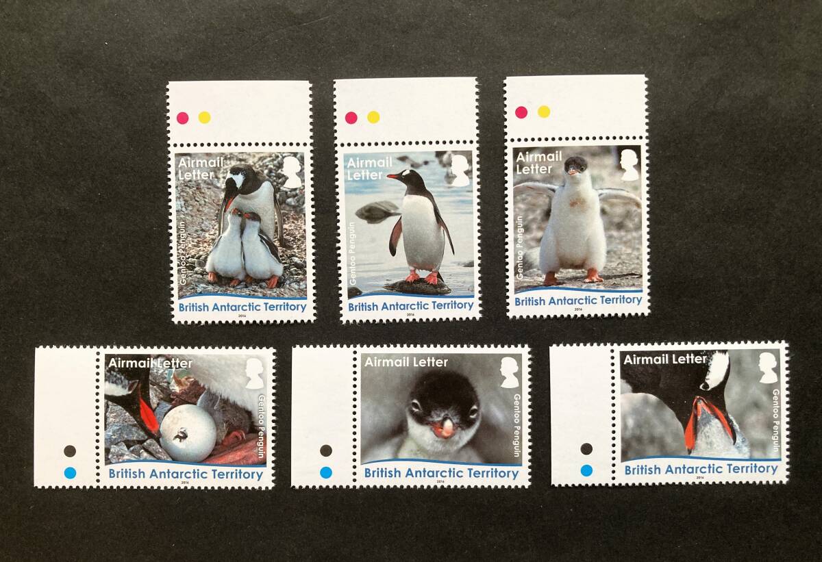 外国切手: イギリス領南極地域切手 「ジェンツーペンギンのライフサイクル」6種完 未使用拍卖