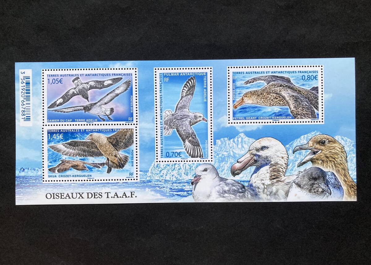 外国切手: 仏領南方南極地域切手「仏領南方南極地域の鳥」(マダラフルマカモメ ほか) 小型シート 未使用拍卖