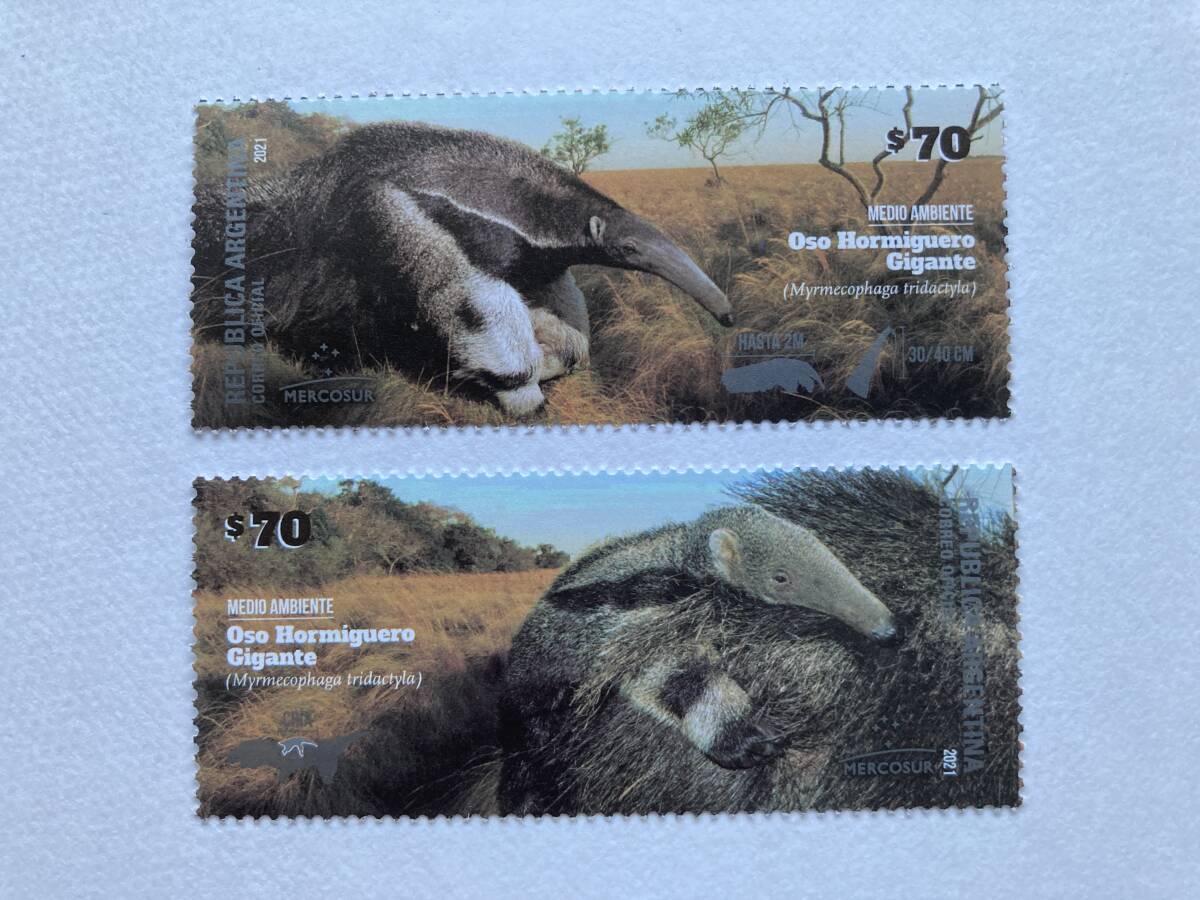 外国切手: アルゼンチン切手 「メルコスール(MERCOSUR)」(印面:オオアリクイ)2種完 未使用拍卖