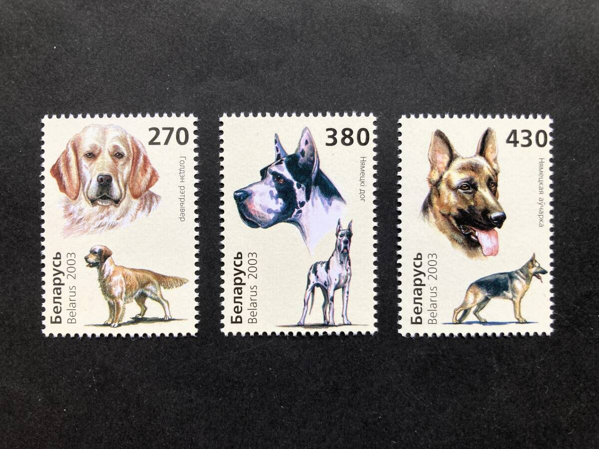外国切手: ベラルーシ切手 「犬(イヌ)」(ゴールデン・レトリーバー ほか)3種完 未使用拍卖