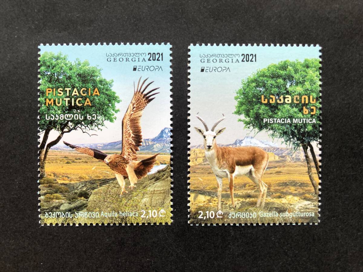 外国切手: ジョージア切手 「(2021年ヨーロッパ切手)共通テーマ・絶滅危惧種」(カタシロワシとコウジョウセンガゼル)2種完 未使用拍卖