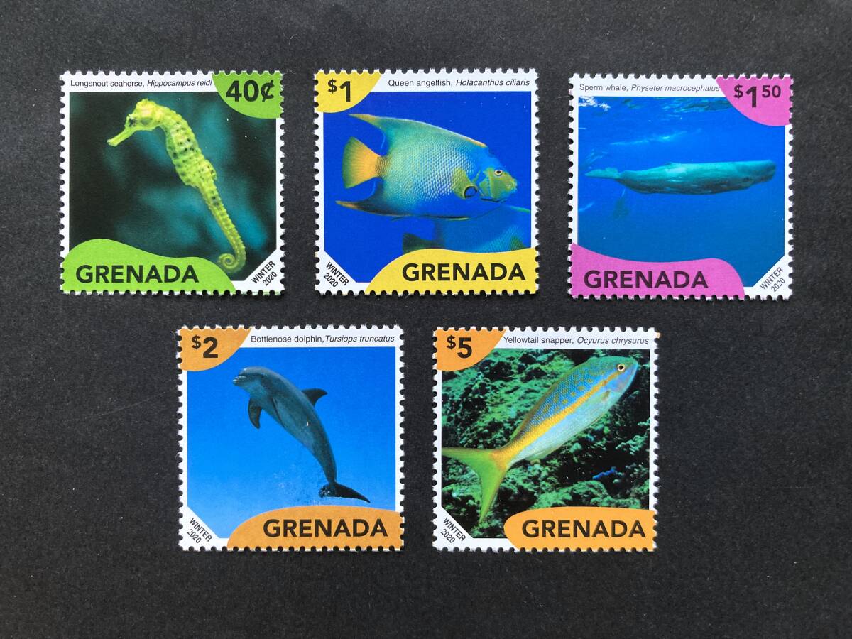 外国切手: グレナダ切手 「海洋生物」(カリビアンシーホース ほか)5種完 未使用拍卖