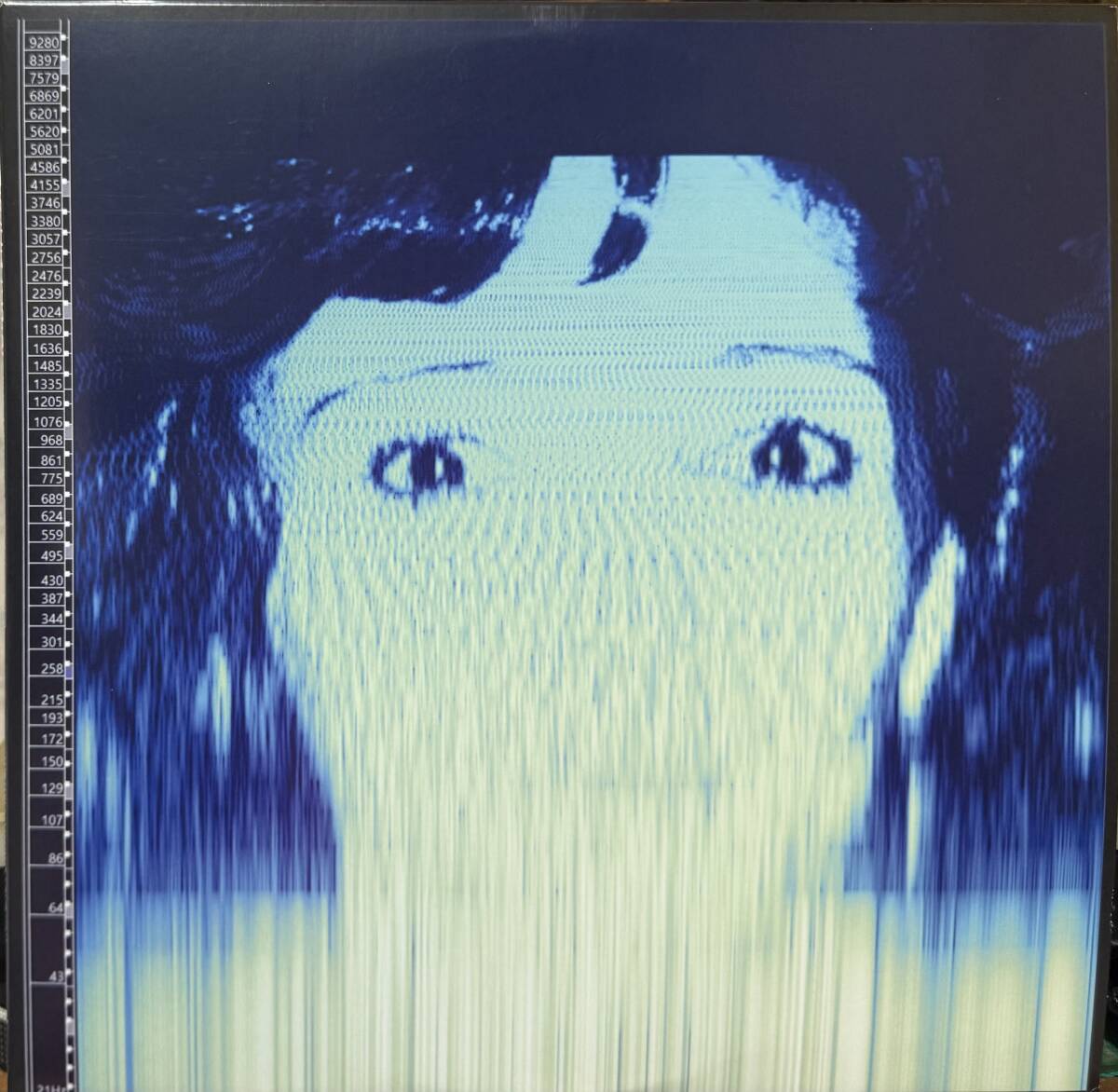 【廃盤2LP】The Avalanches / We Will Always Love You拍卖