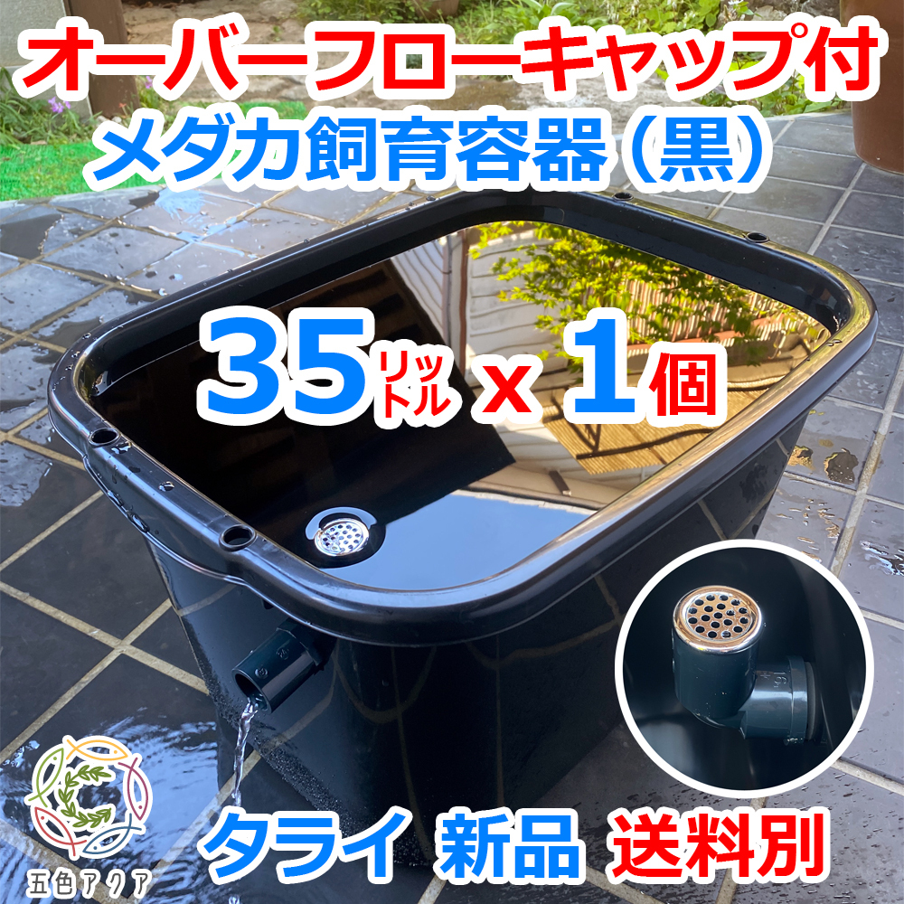 【新仕様】メダカ飼育容器 35㍑黒x1個 オーバーフロー加工済 送料別 メダカ飼育ケース 産卵 金魚鉢 ビオトープ 水槽 睡蓮【五色アクア】09'拍卖
