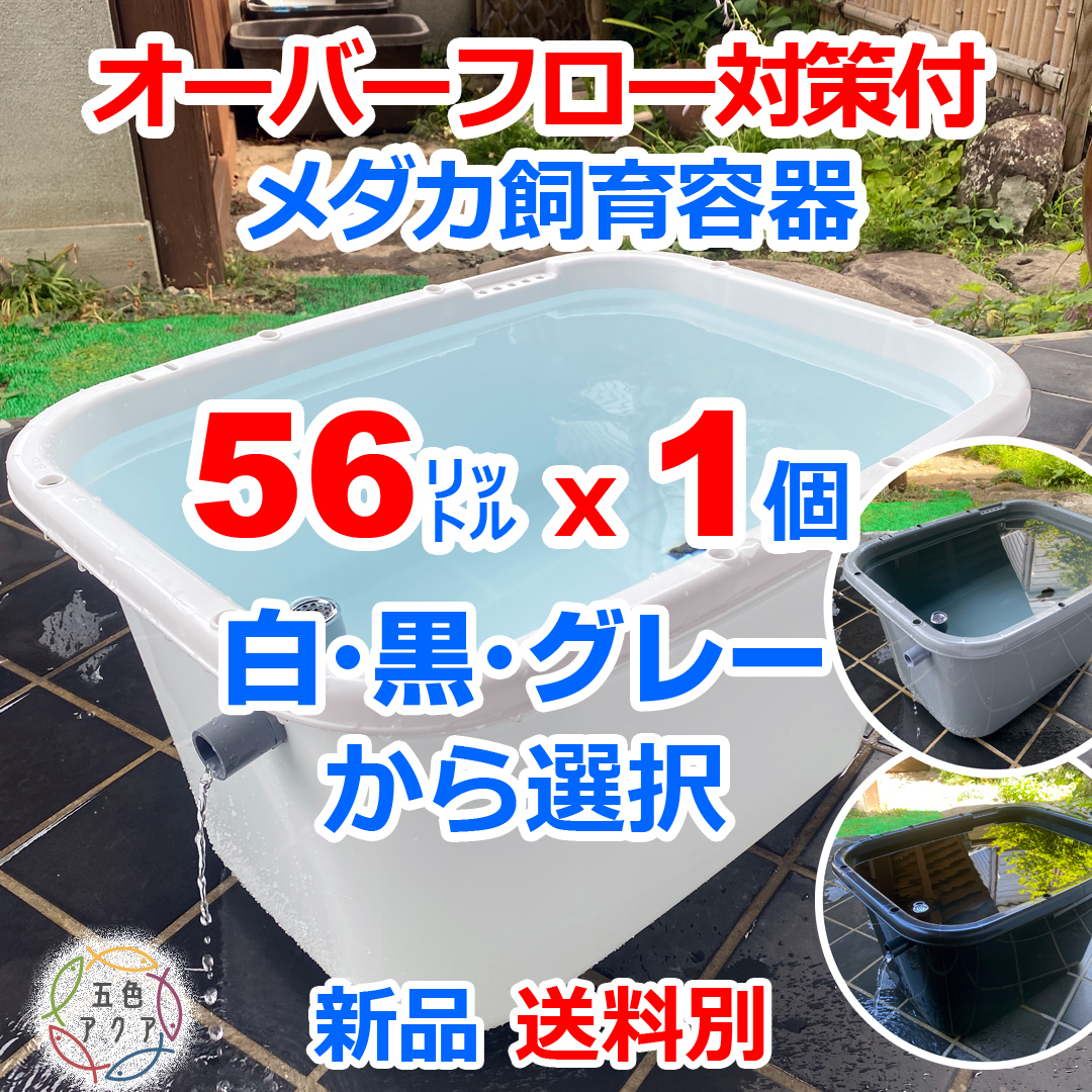 【新仕様】メダカ飼育容器 56㍑ 白黒灰選択可x1個 オーバーフロー対策済 送料別 新品 金魚飼育ケース ビオトープ 大雨対策 【五色アクア拍卖