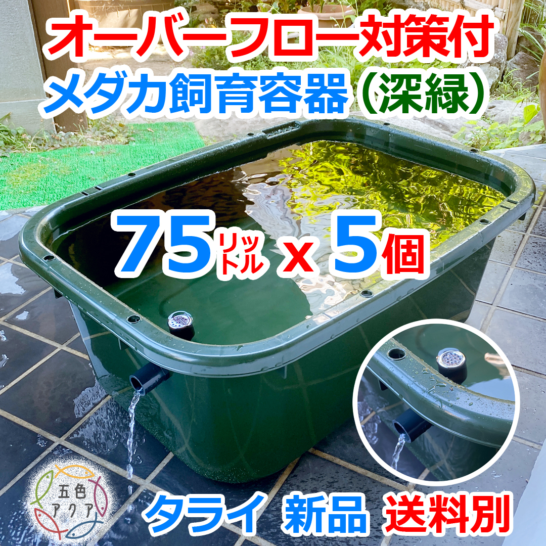 メダカ飼育容器 75㍑深緑x5個 オーバーフロー対策付 送料別 メダカ飼育ケース 金魚飼育容器 屋外水槽 ビオトープ タライ トロ舟 五色アクア拍卖