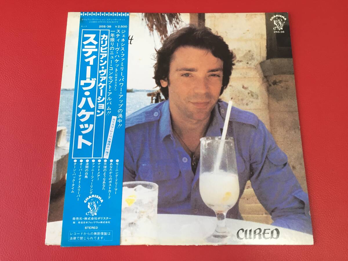 ◆スティーヴ・ハケット/カリビアン・ヴァケーション/帯付/LP/25S-38 #F17YY1拍卖