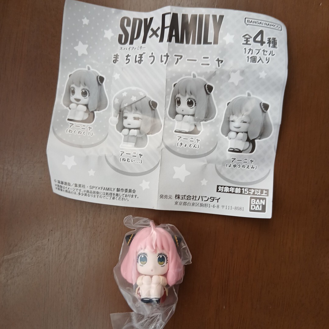 即決 SPY×FAMILY スパイファミリー まちぼうけアーニャ きょとん拍卖